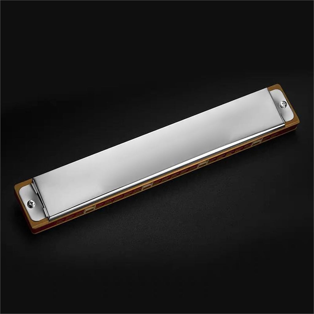Harmonica 24 Hole Mouth Organ Professional Armonica Musical Instrumentos Key C Minor,Am Tone