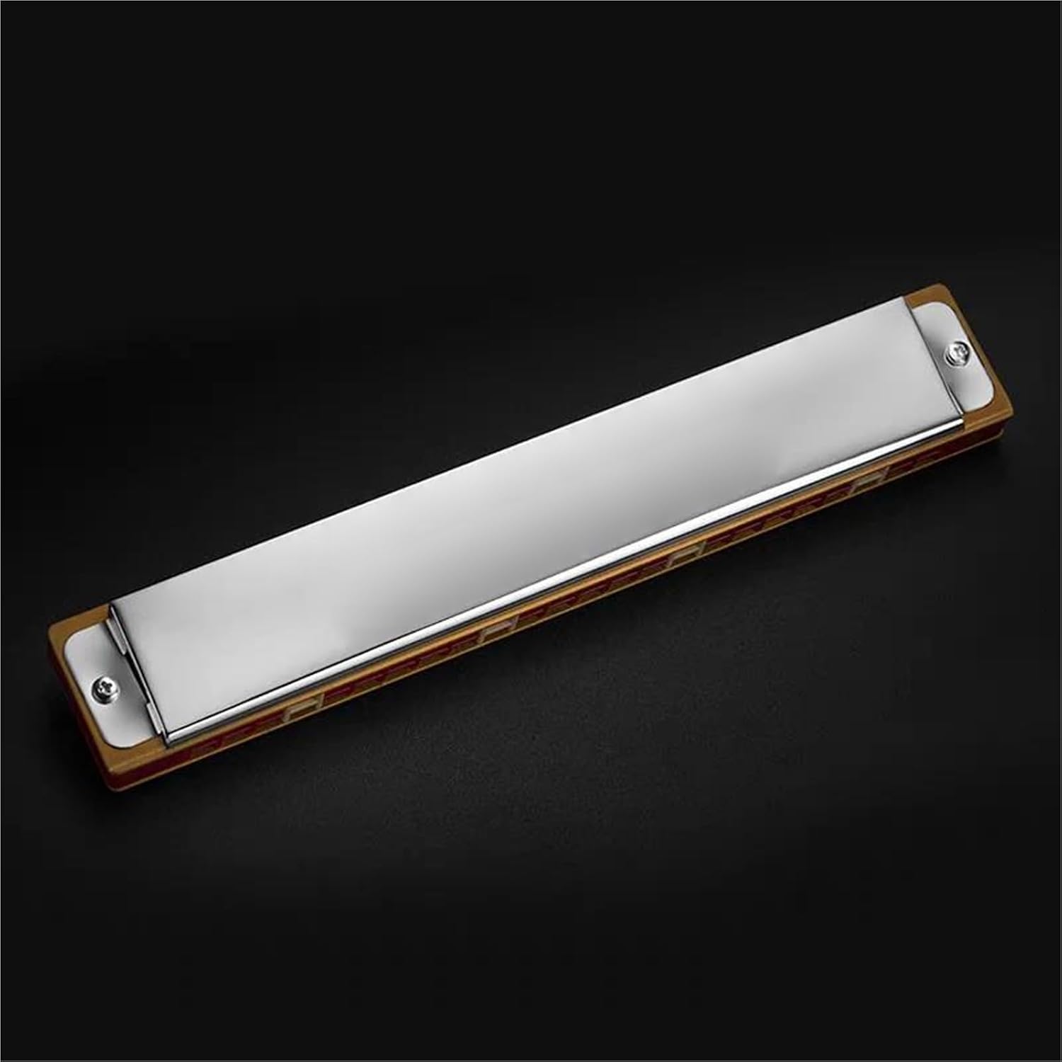 Harmonica 24 Hole Mouth Organ Professional Armonica Musical Instrumentos Key C Minor,Gm Tone