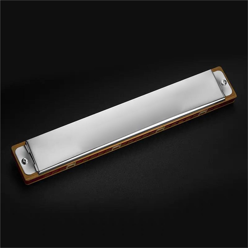 Professional Harmonica Harmonica 24 Hole Mouth Organ Professional Armonica Musical Instrumentos Key C Minor(Gm Tone)