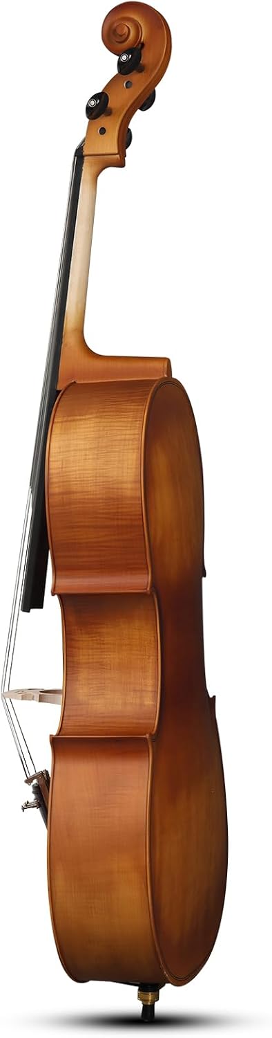 Full Size Acoustic Cello Kit for Adults,Beginners,Complete 4/4 Cello Set with Portable Bag, Bow, Rosin,Matte Natural