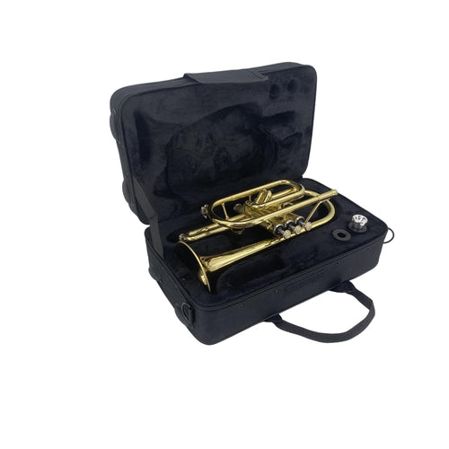 Bb Cornet Brass Instrument, B Flat Nickel Plated with Mouthpiece, Carrying Case, Gloves and Cleaning Cloth, Professional Cornet for Students and Beginners（Golden）