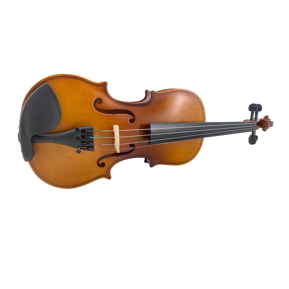 4/4 Violin Kit for Beginners - Perfect for School Orchestra & Daily Practice, Solidwood Maple/Basswood Construction, Matte Black Finish, Hard Case & All Accessories Included