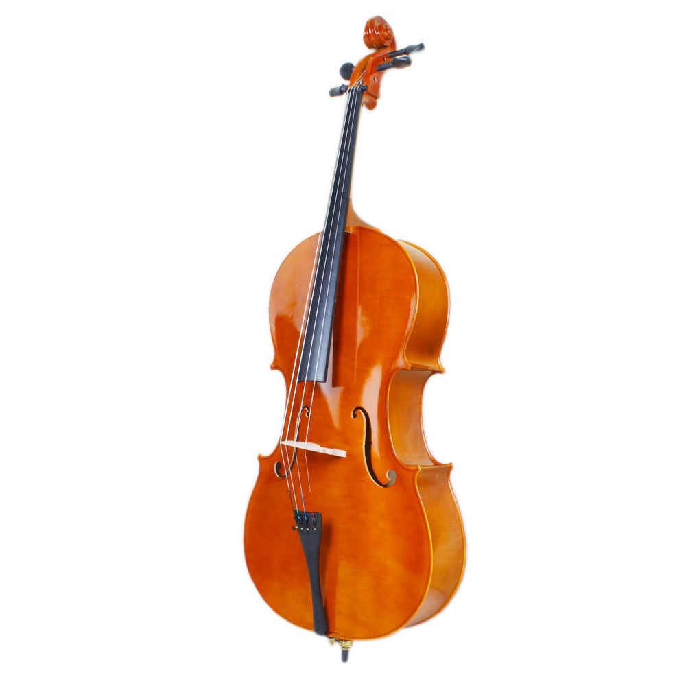 Vasitelan Full-Size Cello, Beginner Cello 4/4, Acoustic Cello Kit with Portable Bag, Bow, Bridge, Rosin, String Musical Instruments (Black)