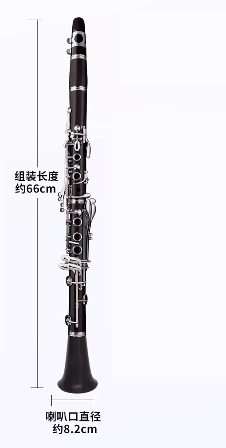 Ebony Clarinet Downgraded To B Key Suitable For Adult Beginner Level Exam Bands Clarinet Set