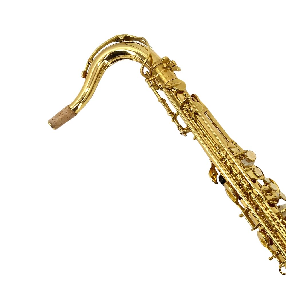 Yinfente Eb Alto Saxophone For Beginners Adult,Saxophone Student,E Flat Alto Sax Full Kit With Reeds,Pads Cushions,Hard Carrying Case,Cleaning Cloth & Rod,Mouthpiece,Gloves,Neck Strap Gold