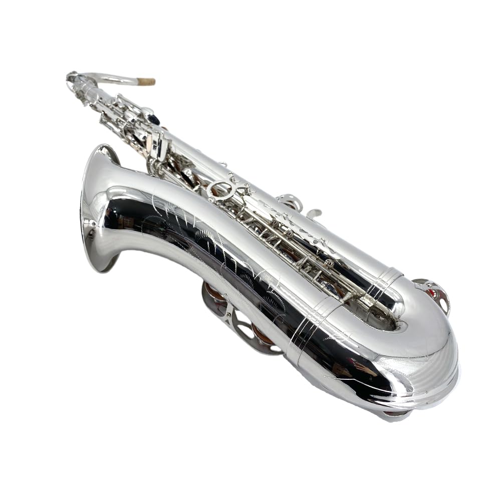 Yinfente Eb Alto Saxophone For Beginners Adult,Saxophone Student,E Flat Alto Sax Full Kit With Reeds,Pads Cushions,Hard Carrying Case,Cleaning Cloth & Rod,Mouthpiece,Gloves,Neck Strap Gold