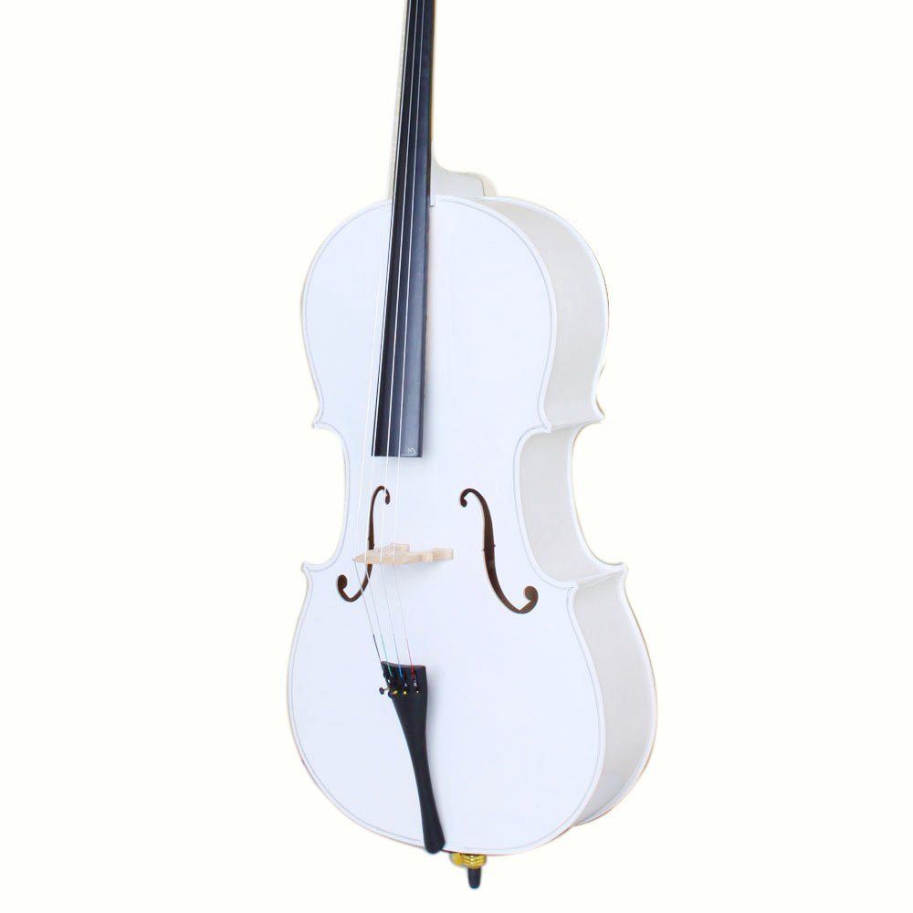 Vasitelan Full-Size Cello, Beginner Cello 4/4, Acoustic Cello Kit with Portable Bag, Bow, Bridge, Rosin, String Musical Instruments (Black)