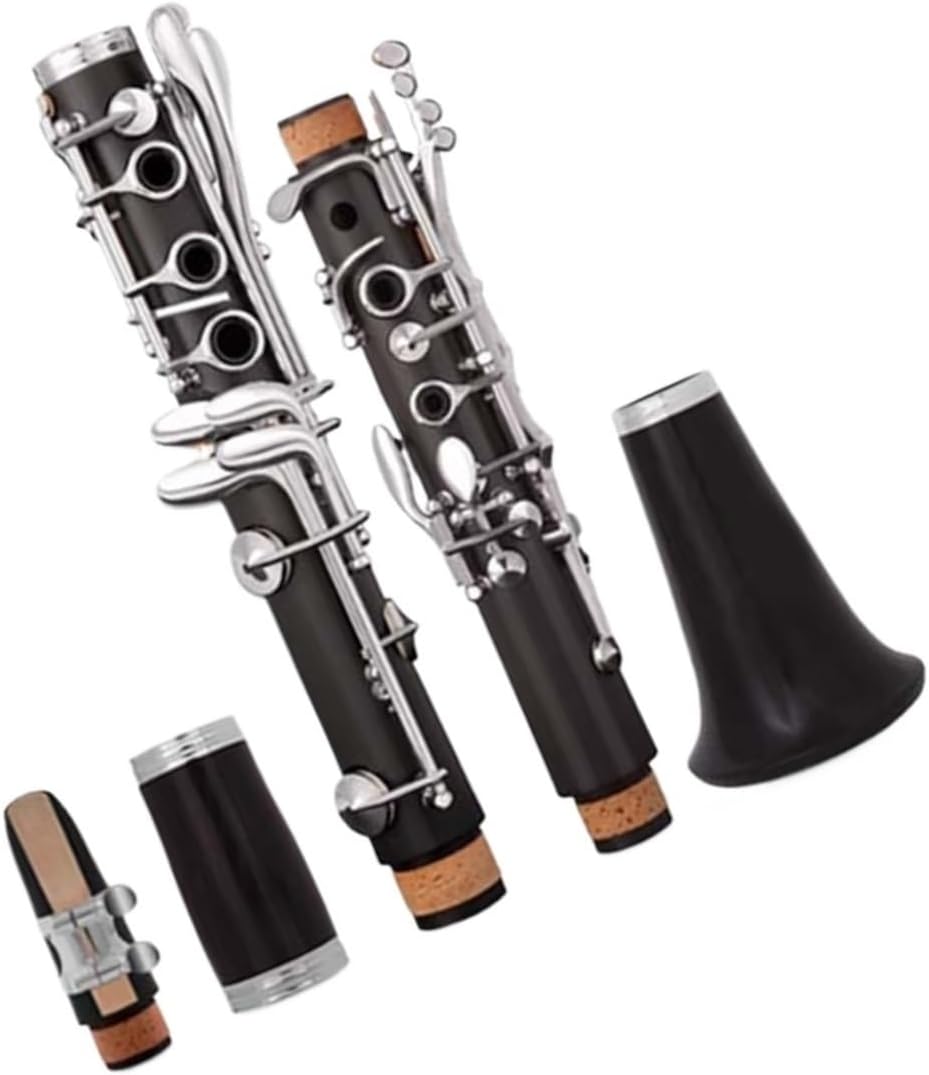 Ebony clarinet 17 keys B flat double two section adjustment instrument for beginners to play and examination Clarinet