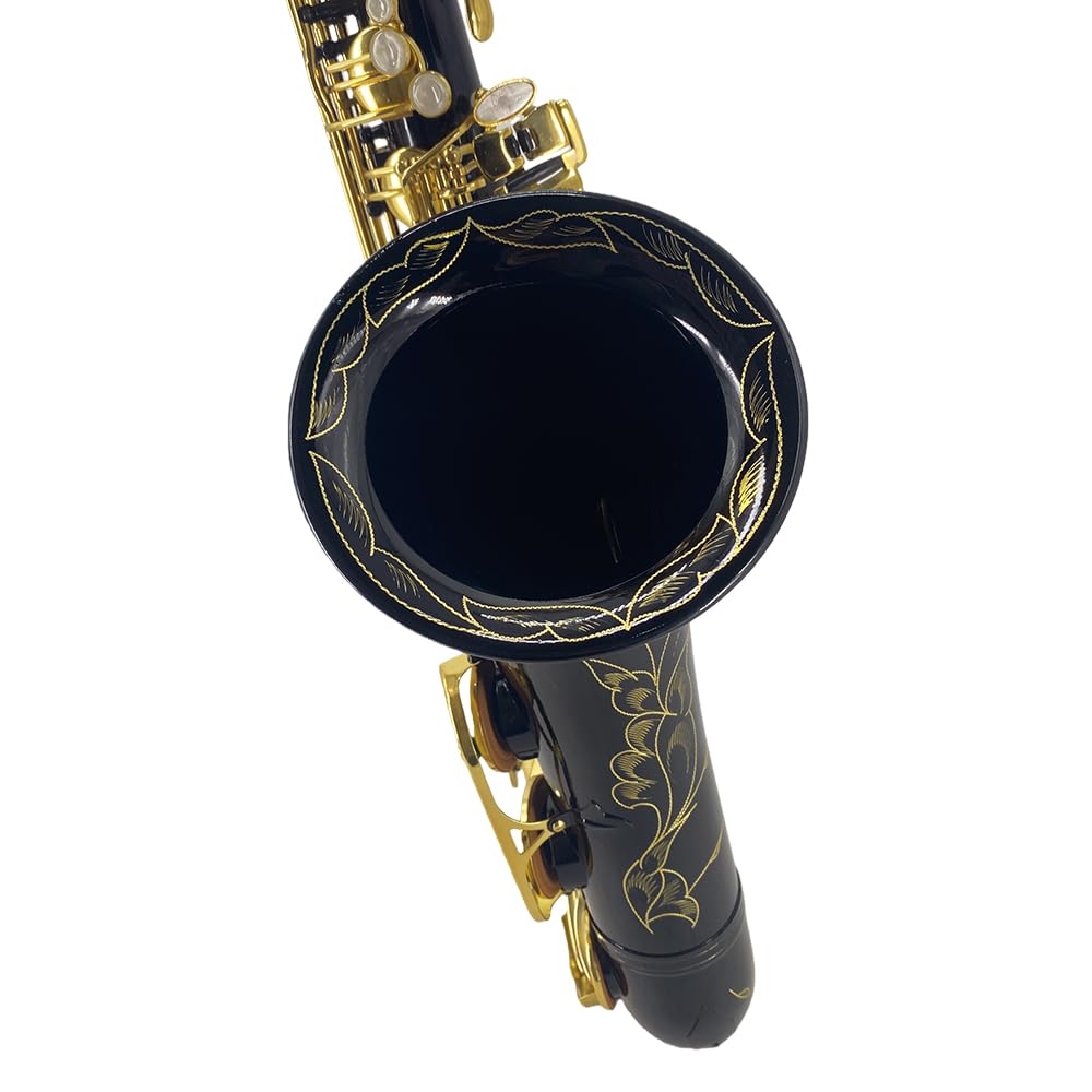 Beginner Alto Saxophone, E Flat - Complete Starter Kit with Case & 10 Reeds, for Adults & Students, Easy to Play for School Band & Practice(Gold)