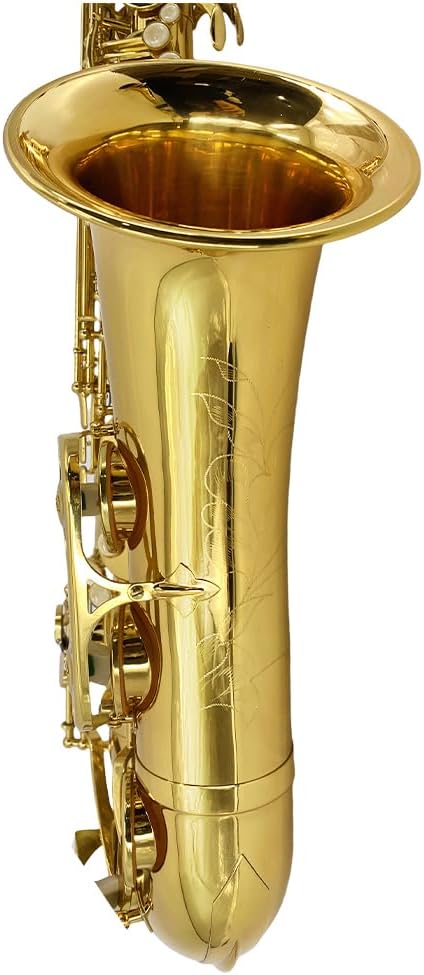 Yinfente Bb Tenor Saxophone Professional Beginner Kit-B Flat Tenor Sax Complete Student Set with Hard Case,Reeds,Cleaning Cloth,Neck Straps,Mouthpiece Gold