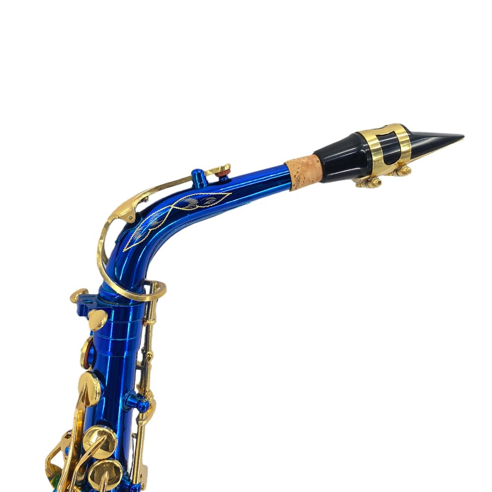 Alto Saxophone E Flat for Adults Student Sax Eb Alto Full Kit With Carrying Sax Case Mouthpiece Straps Reeds Saxophone Beginner Kit