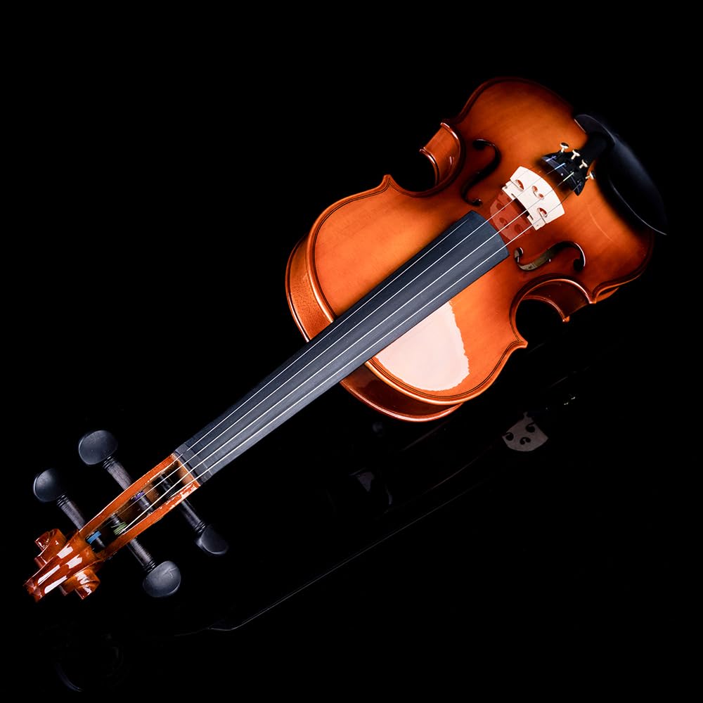 Rhythm Violin Set for Beginners,Acoustic Violins Starter Kit Package for Student,Beginners Fiddle with Hard Case, Rosin, Shoulder Rest, Bow, and Extra Strings (NATURAL, Full)