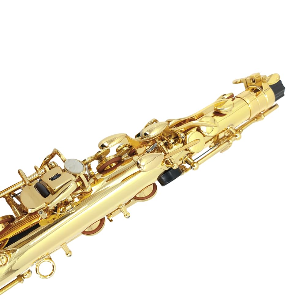 Alto Saxophone, Eb Flat Sax Complete Kit with Case & Accessories for Student, Adult & Beginner (Alto Saxophone Set with Mouthpiece, Reeds, Gloves, Cloth & Brush)-Golden