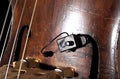 Myers Pickups Upright Bass Microphone with 6 Inch Flexible Micro-Gooseneck