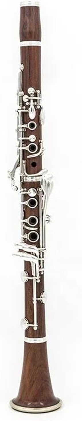 Beginner Clarinet 17 key professional clarinet