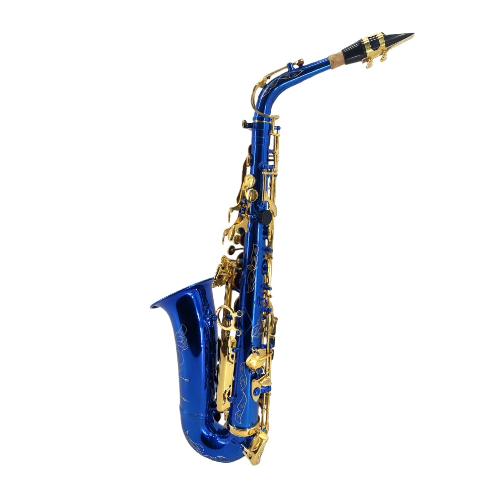 Student Eb Alto Saxophone E Flat for Beginners Sax Full Kit with Pads Cushions,Hard Carrying Case,Neck Strap,Reeds,Cleaning Cloth & Rod,Mouthpiece,Gloves