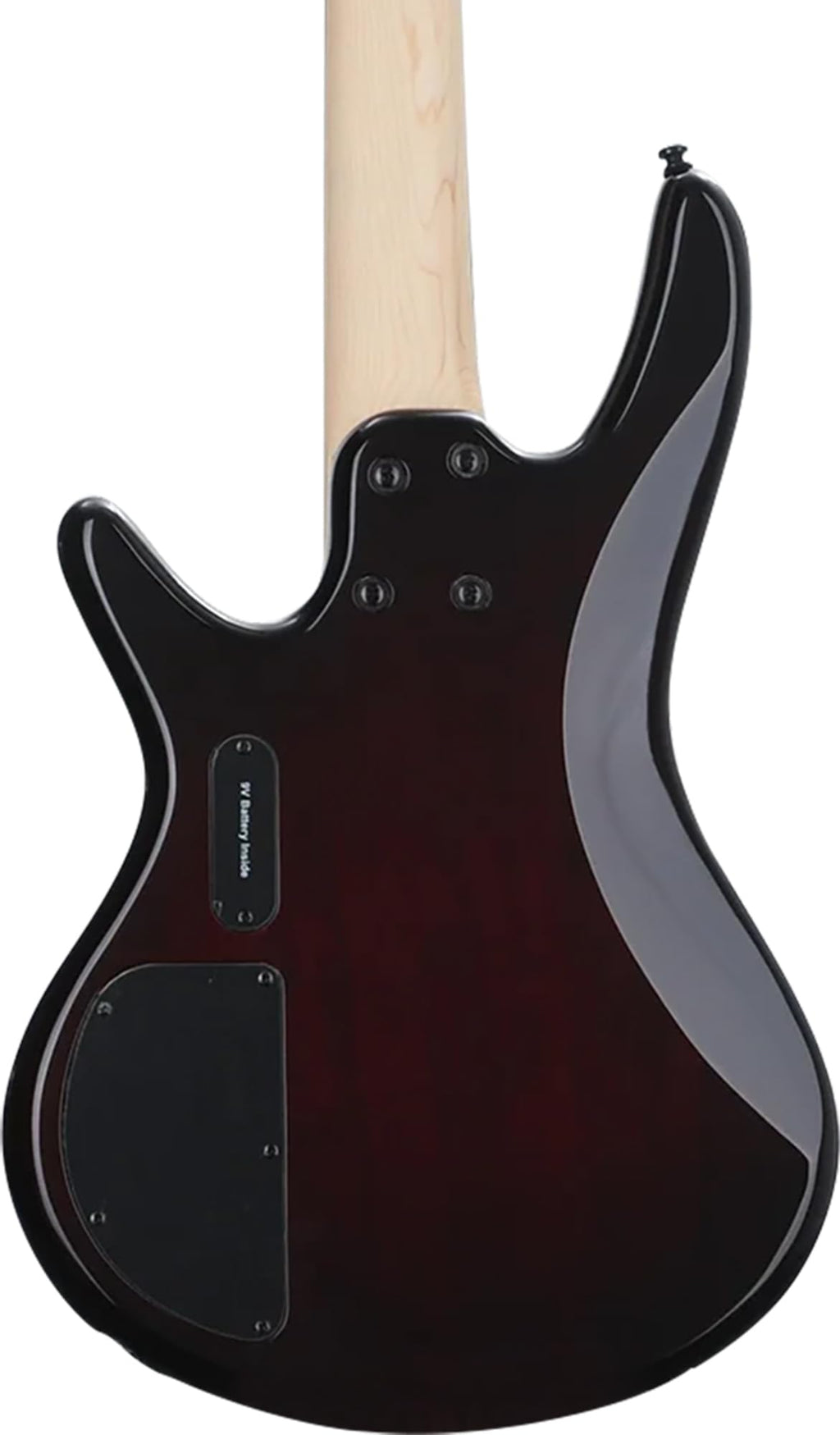 Ibanez GSR205B SR Gio 5-String Bass Guitar - Walnut Flat Bundle with Gig Bag, Tuner, Strap, Cable, Austin Bazaar Instructional DVD, and Polishing Cloth