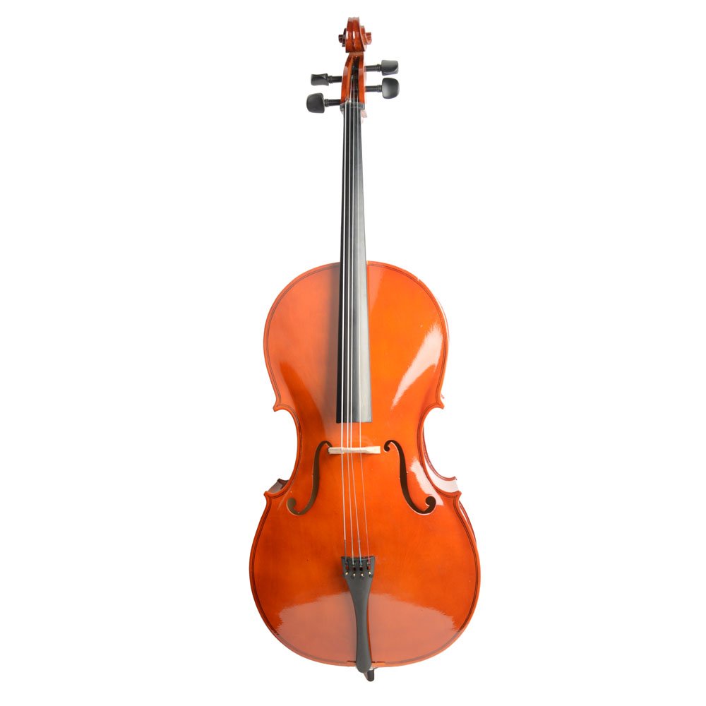 Vasitelan Full-Size Cello, Beginner Cello 4/4, Acoustic Cello Kit with Portable Bag, Bow, Bridge, Rosin, String Musical Instruments (Black)
