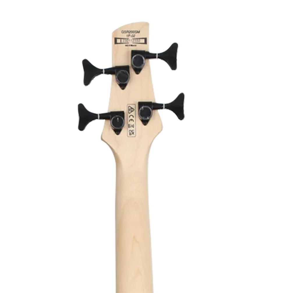 Ibanez GSR205B SR Gio 5-String Bass Guitar - Walnut Flat Bundle with Gig Bag, Tuner, Strap, Cable, Austin Bazaar Instructional DVD, and Polishing Cloth