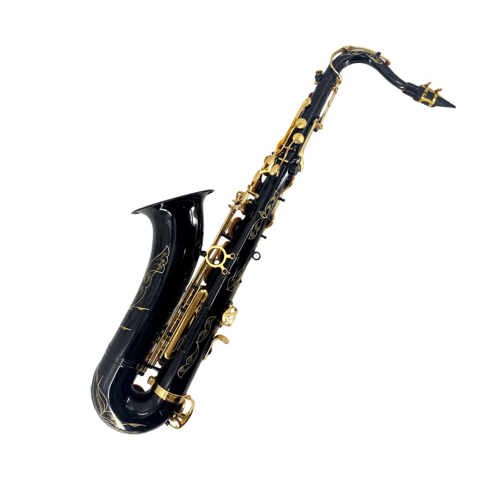 Beginner Alto Saxophone, E Flat - Complete Starter Kit with Case & 10 Reeds, for Adults & Students, Easy to Play for School Band & Practice(Gold)