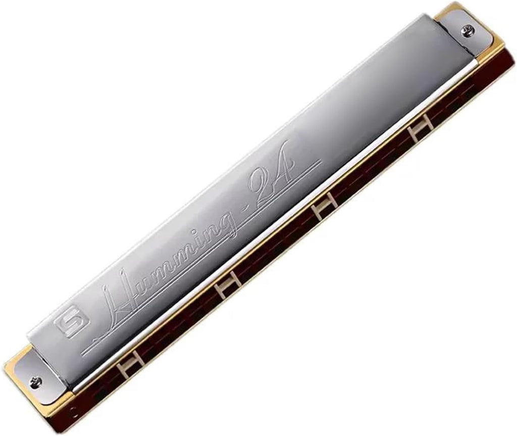 Harmonica 24 Hole Mouth Organ Professional Armonica Musical Instrumentos Key C Minor,G Tone