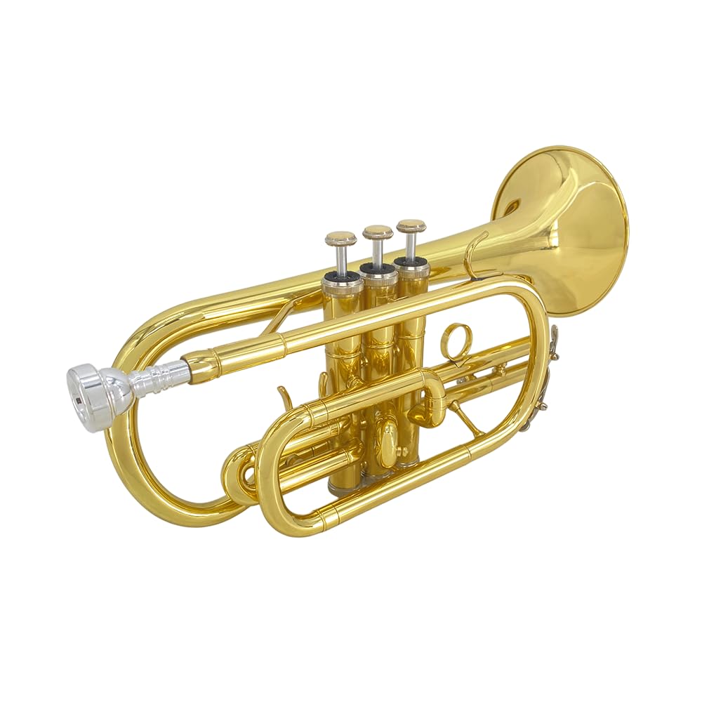 Bb Cornet Brass Instrument, B Flat Nickel Plated with Mouthpiece, Carrying Case, Gloves and Cleaning Cloth, Professional Cornet for Students and Beginners（Golden）