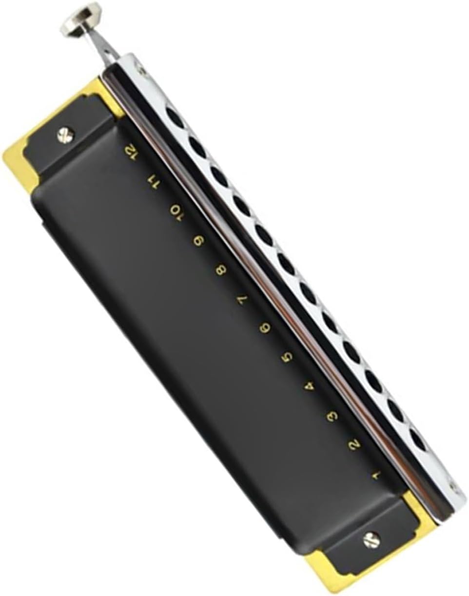 Chromatic Harmonica 12 Hole C Key Black Professional Mouth Organ Wind Musical Instrument Adult Beginners Harmonica Professional