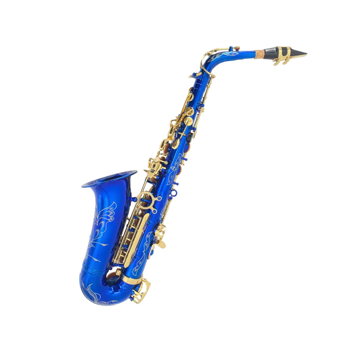 Beginner Alto Saxophone, E Flat - Complete Starter Kit with Case & 10 Reeds, for Adults & Students, Easy to Play for School Band & Practice(Gold)