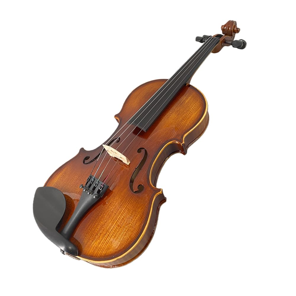 4/4 Violin Kit for Beginners - Perfect for School Orchestra & Daily Practice, Solidwood Maple/Basswood Construction, Matte Black Finish, Hard Case & All Accessories Included