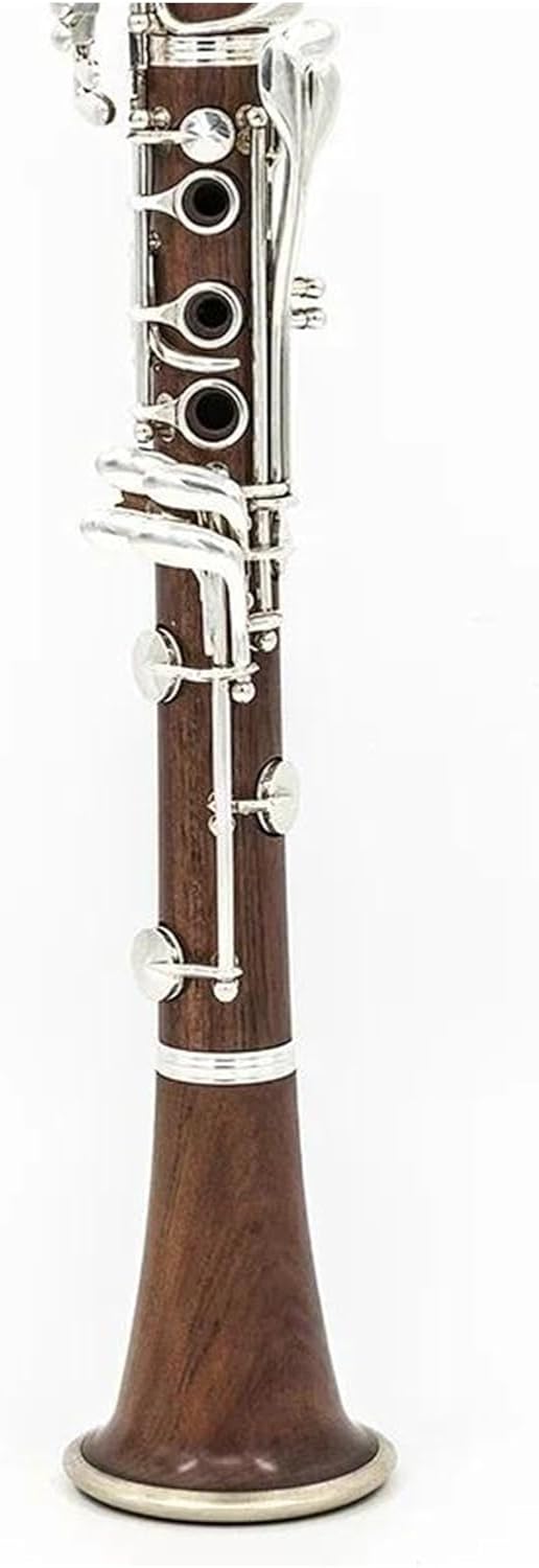 Beginner Clarinet 17 key professional clarinet