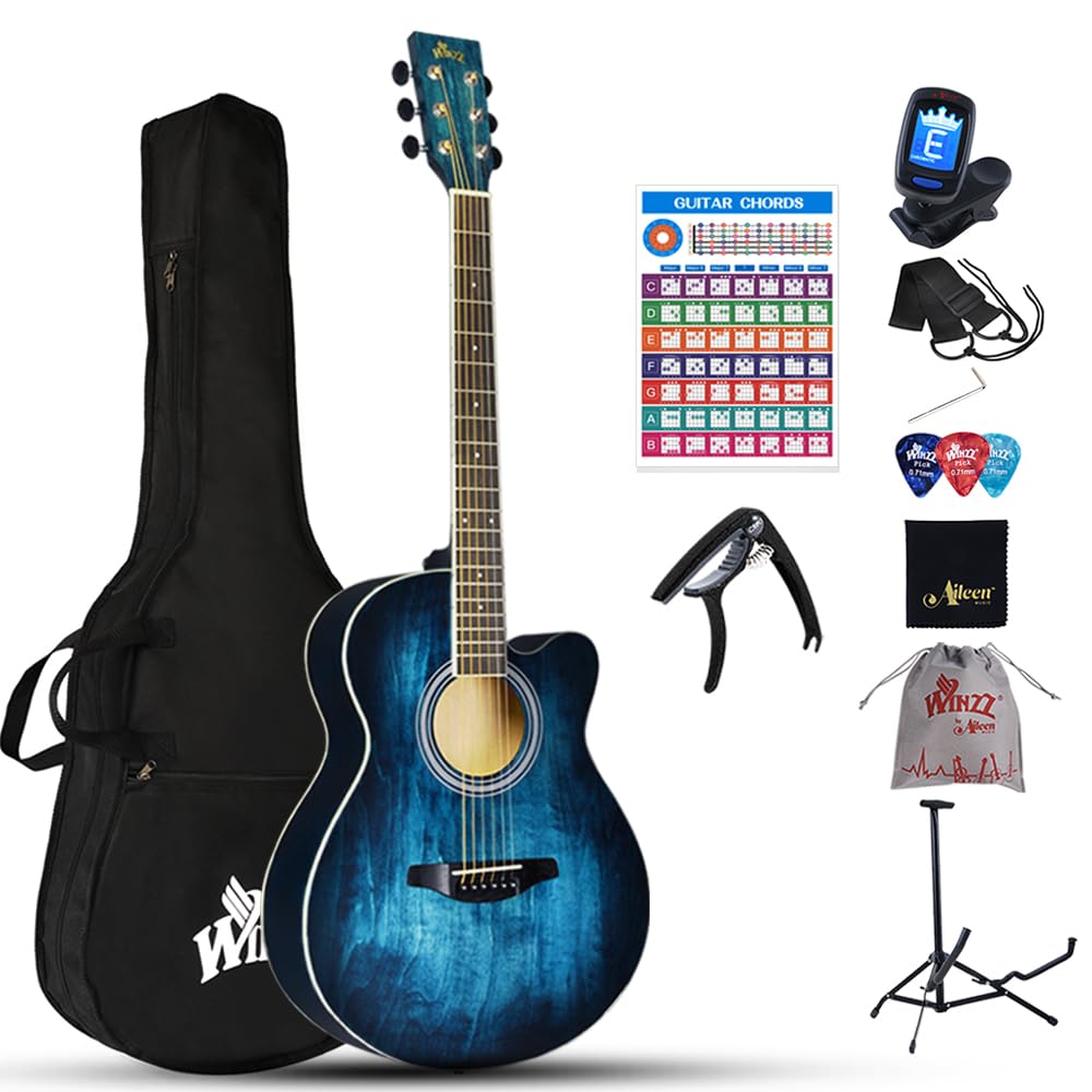 Winzz 40 Inches Acoustic Steel-string Guitar Beginner, Elegant Unique Color Design (Blue-green)