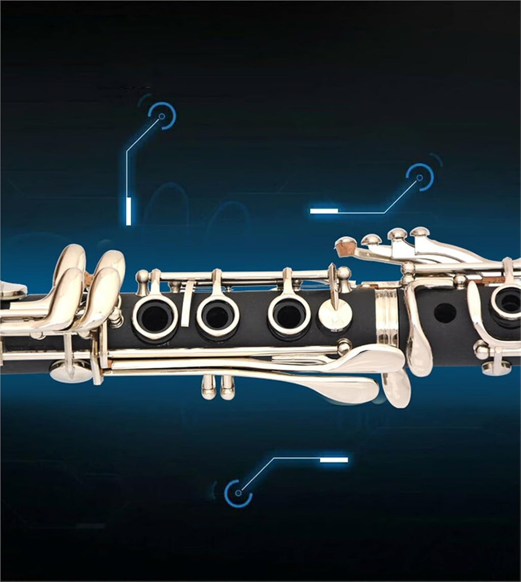 Ebony Clarinet In B Flat Key Suitable For Beginners And Examinations Clarinet Set
