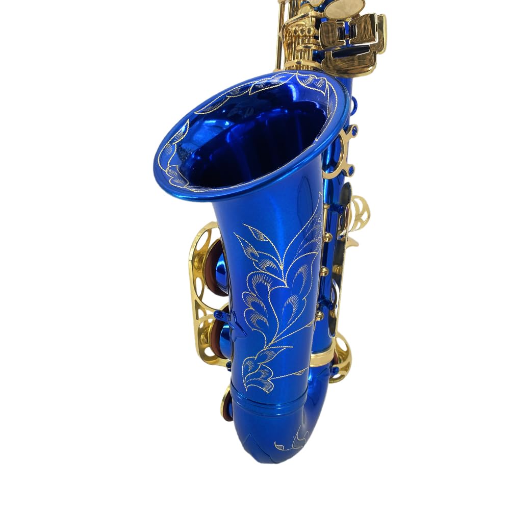 Yinfente Eb Alto Saxophone For Beginners Adult,Saxophone Student,E Flat Alto Sax Full Kit With Reeds,Pads Cushions,Hard Carrying Case,Cleaning Cloth & Rod,Mouthpiece,Gloves,Neck Strap Gold