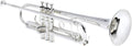 Yamaha YTR-8345II Xeno Professional Bb Trumpet - Large Bore - Gold Brass Bell - Silver Plated