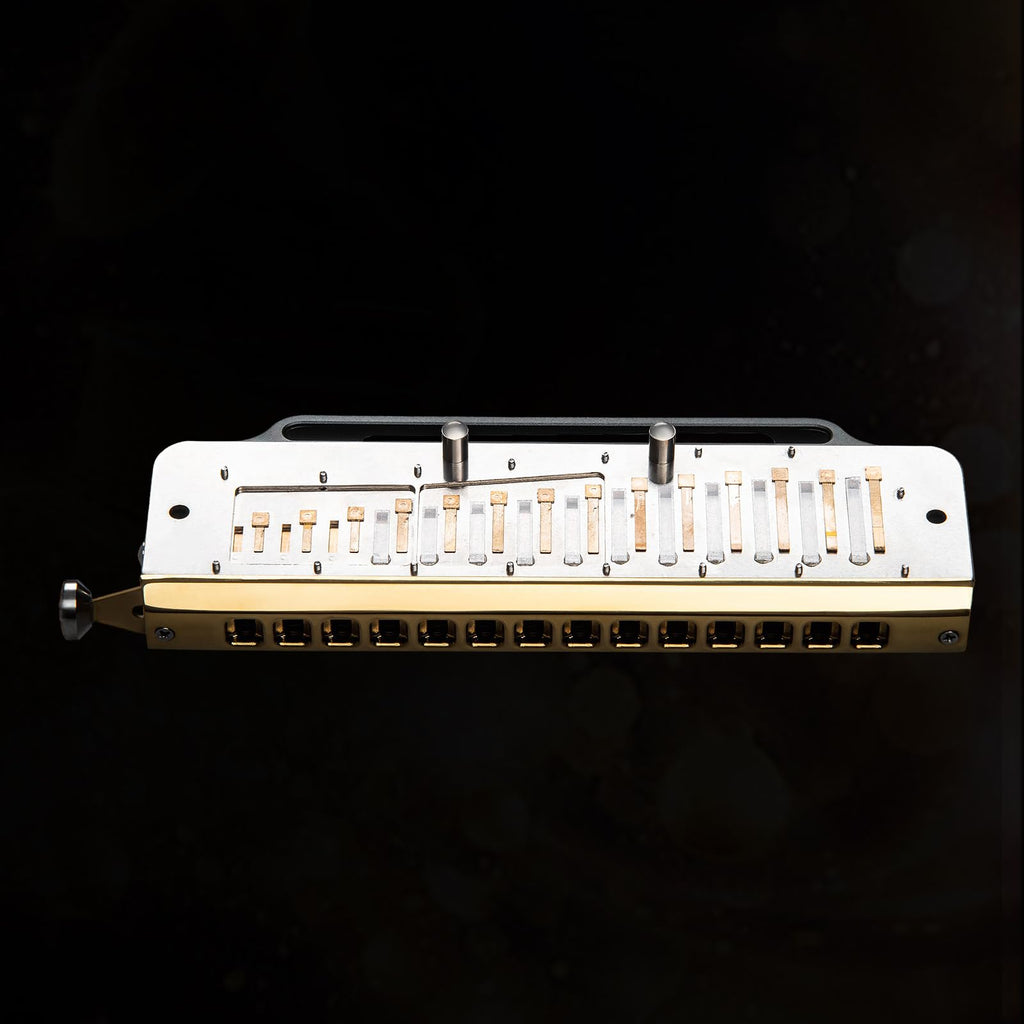 EAST TOP ROMANCE Chromatic Harmonica of 14 Hole, Professional Chromatic Mouth Organ Harmonica For Adults, Students and band players key of C