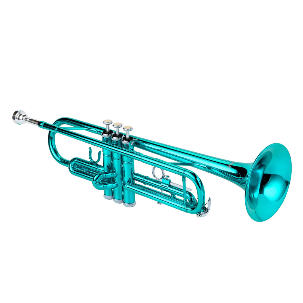 LeSage Bb Standard Trumpet Set for Beginner, Brass Student Trumpet with Carrying Case, Care Kit, Valve Oil, Cloth, 7C Mouthpiece & Gloves Silver