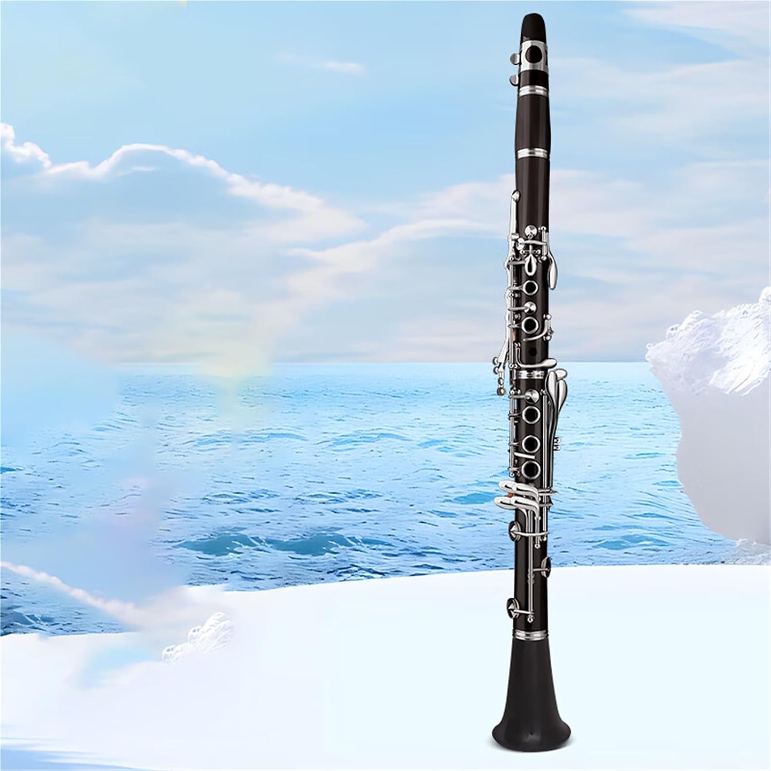 17Key Ebony Clarinet In Bb Suitable For Beginners And Exams Clarinet Set