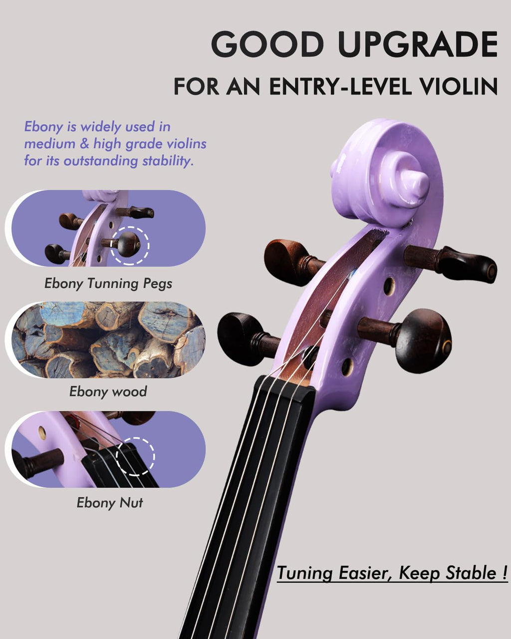 Aileen Violin 4/4 Full Size for Adults Beginners, Black Fiddle Starter Kit for Students Age 12+, including Music Stand, Unique New Fingerboard Sticker, Mute