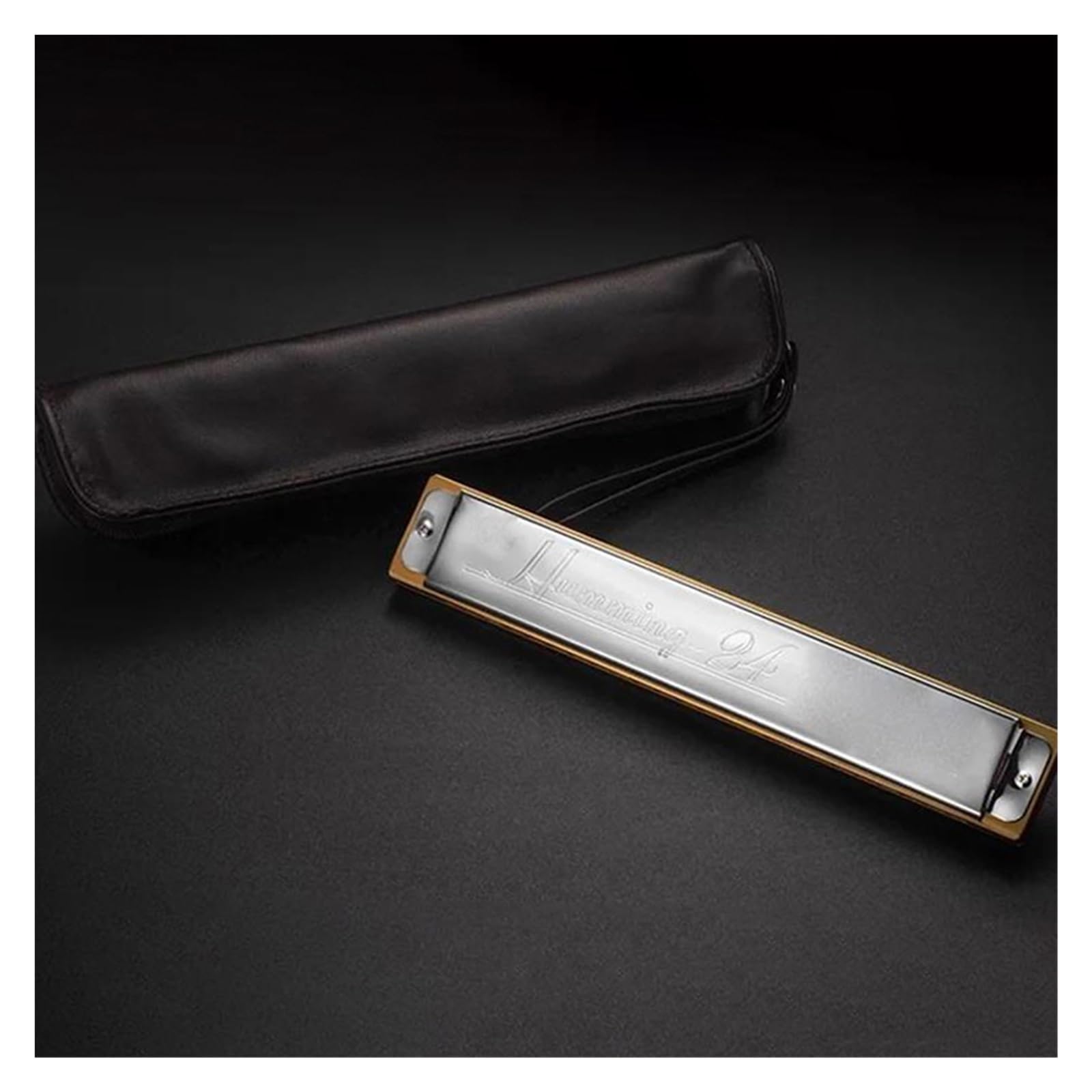 Professional Harmonica Harmonica 24 Hole Mouth Organ Professional Armonica Musical Instrumentos Key C Minor(Gm Tone)