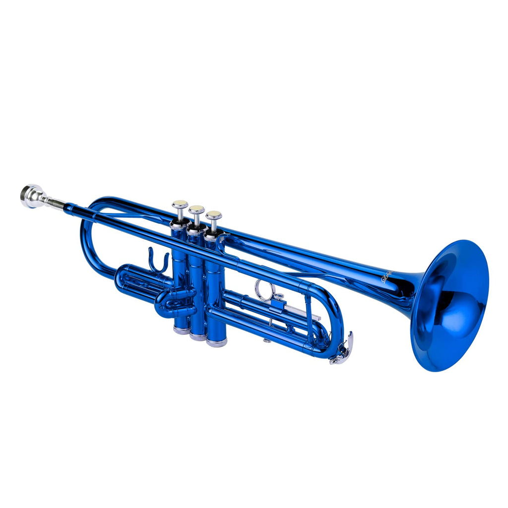 LeSage Bb Standard Trumpet Set for Beginner, Brass Student Trumpet with Carrying Case, Care Kit, Valve Oil, Cloth, 7C Mouthpiece & Gloves Silver