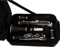 TSTS New Professional 17 Keys Clarinet Bakelite Body Nickel Plating Keys with Case Clarinet for Beginner