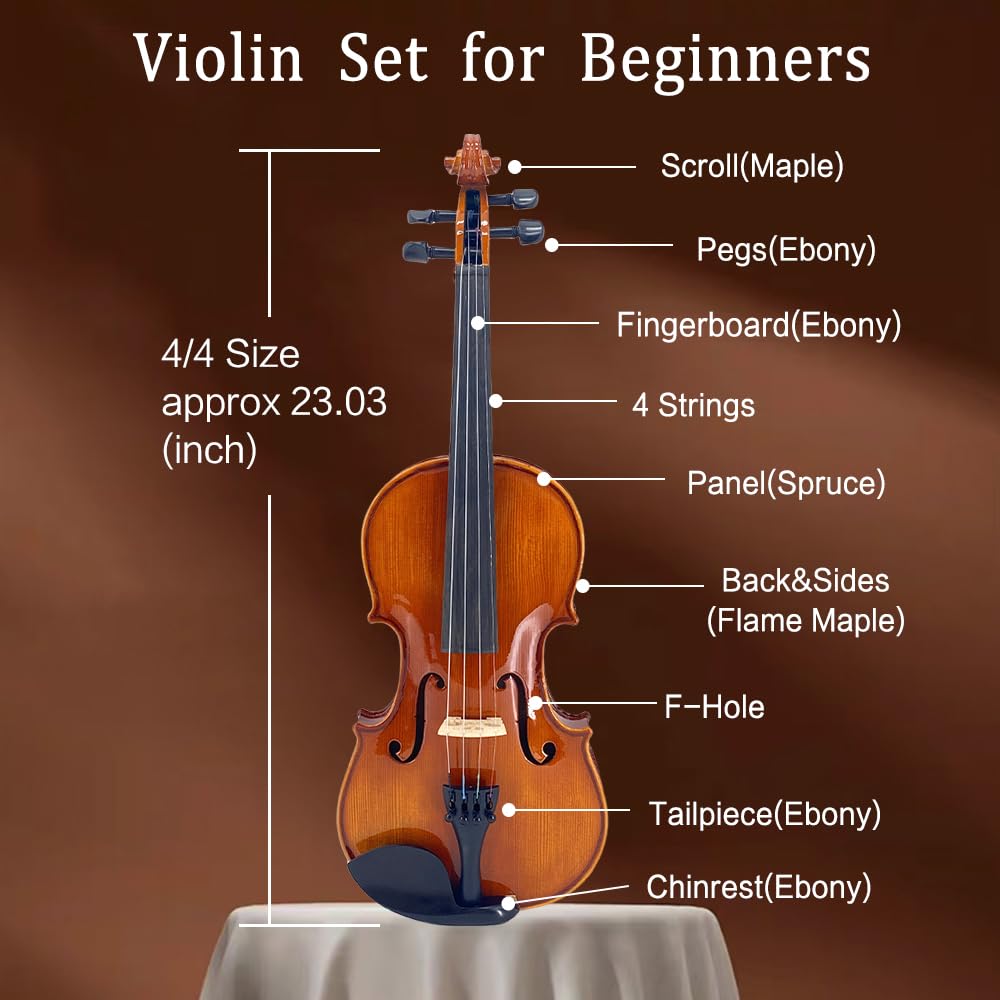 1/2 Violin Set for Beginners Violin Fiddle Set for Beginners with Shoulder Rest Bow Bridge Hard Case and Extra 4strings