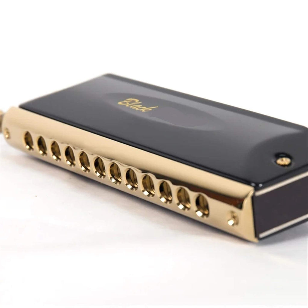 Chromatic Harmonica 12 16 Holes Mouth Organ Instrumentos Key C Phosphor Bronze Reeds Professional Musical Instruments (Color : QM Y1664BK1)