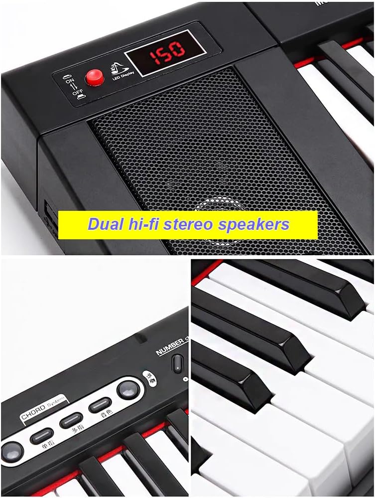 Electronic Organ Suitable for Beginners, 61-Keyboard Piano, 22MM Standard Piano Keyboard, Portable Professional Musical Instrument for Adults