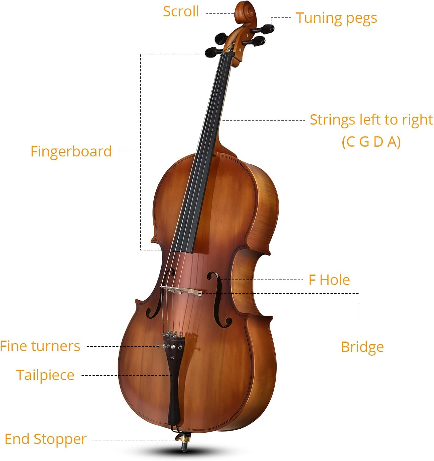 Full Size Acoustic Cello Kit for Adults,Beginners,Complete 4/4 Cello Set with Portable Bag, Bow, Rosin,Matte Natural