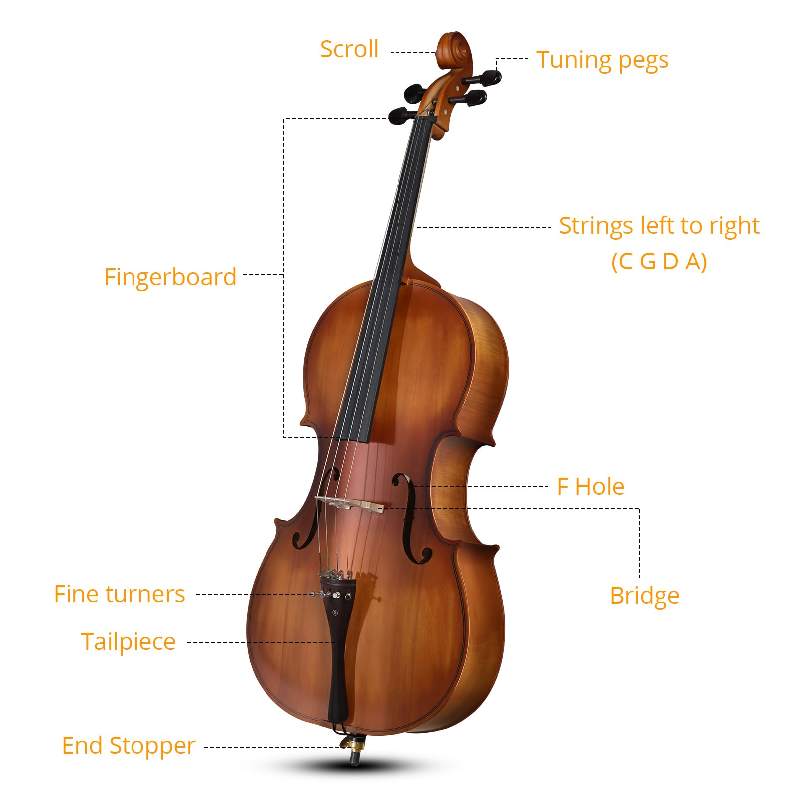 4/4 Full Size Cello Set,Professional Handmade Solid Wood Acoustic Cello with Portable Bag,Bow,Rosin,Cello Musical Instrument for Beginners & Adults (Natural)