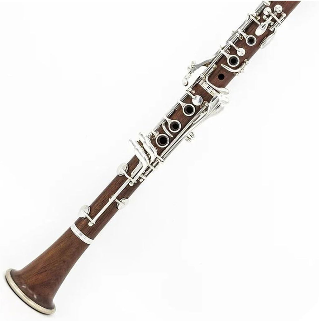 Beginner Clarinet 17 key professional clarinet