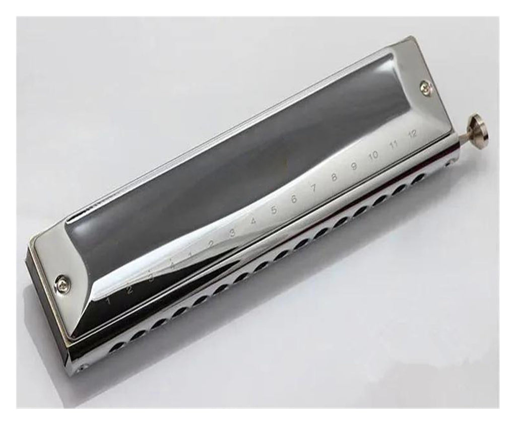 Professional 16 Hole Chromatic Harmonica ABS Comb Black Cover Harp Musical Instruments C Key Metal Mouth Organ(Black)