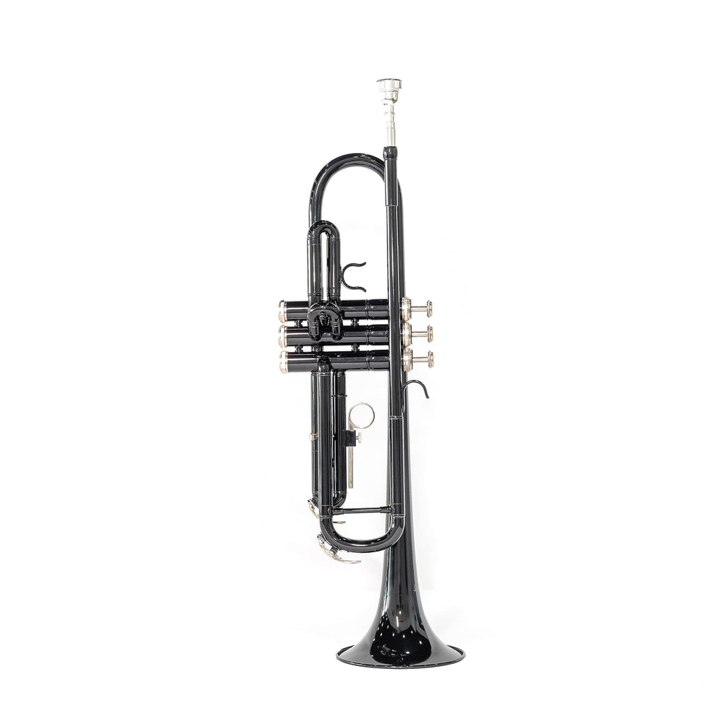 LeSage Bb Standard Trumpet Set for Beginner, Brass Student Trumpet with Carrying Case, Care Kit, Valve Oil, Cloth, 7C Mouthpiece & Gloves Silver