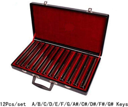 12Pcs/set Harmonica 24 Hole Tremolo Mouth Organ Sliver Color Woodwind Musical Instrument with Gift Box for Collect Gaita